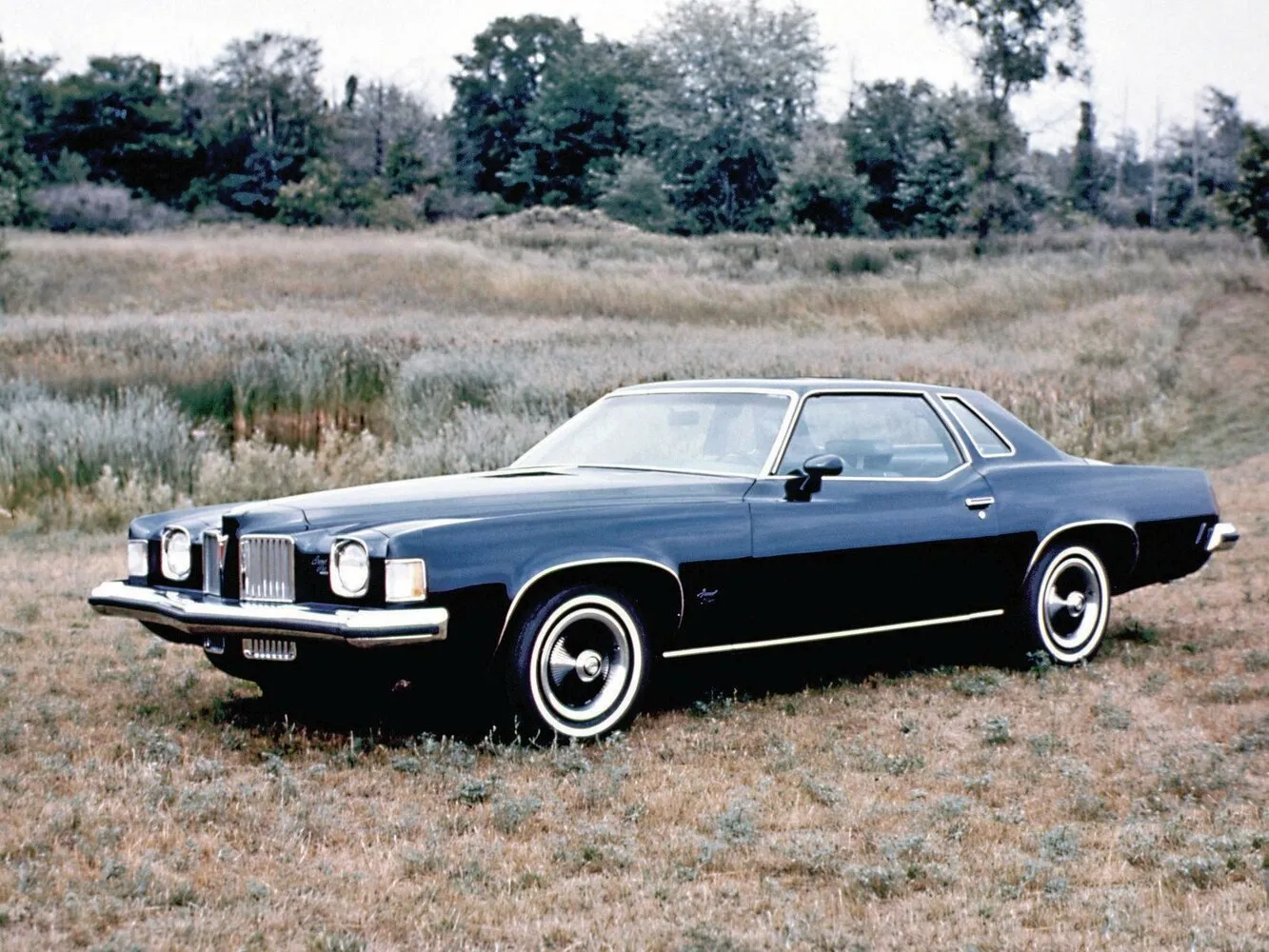 Фото автомобиля Pontiac Grand Prix III для подбора размеров колес, шин и дисков