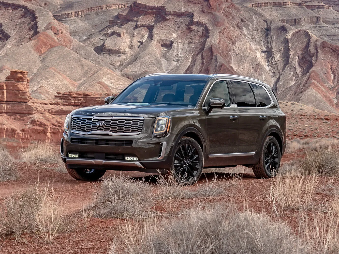 Kia Telluride I