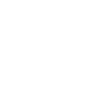 Evolute