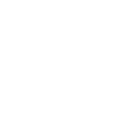 Scion